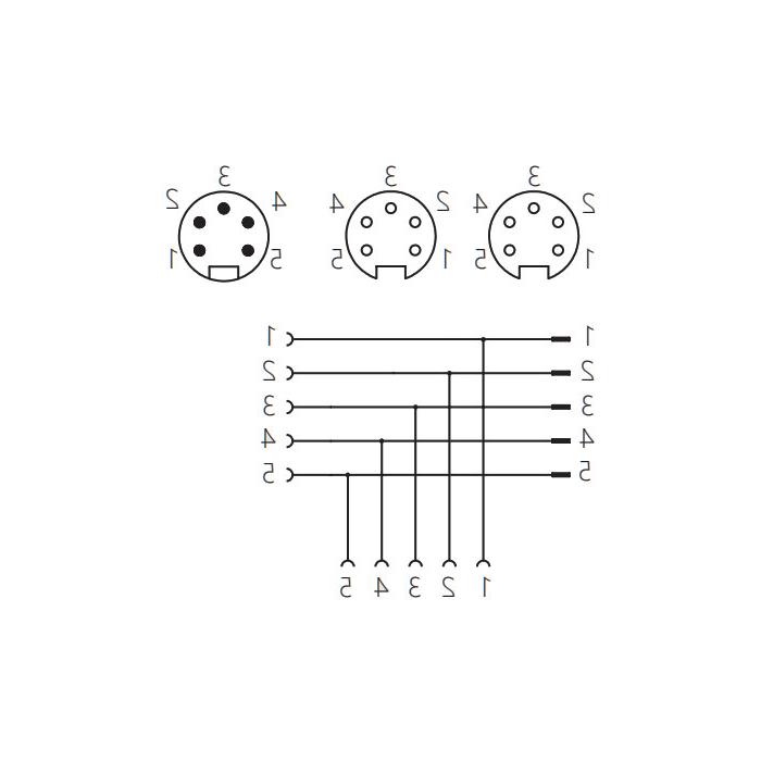  7/8”5引脚公/2x 7/8”5引脚母，t型电源三通，0PI555